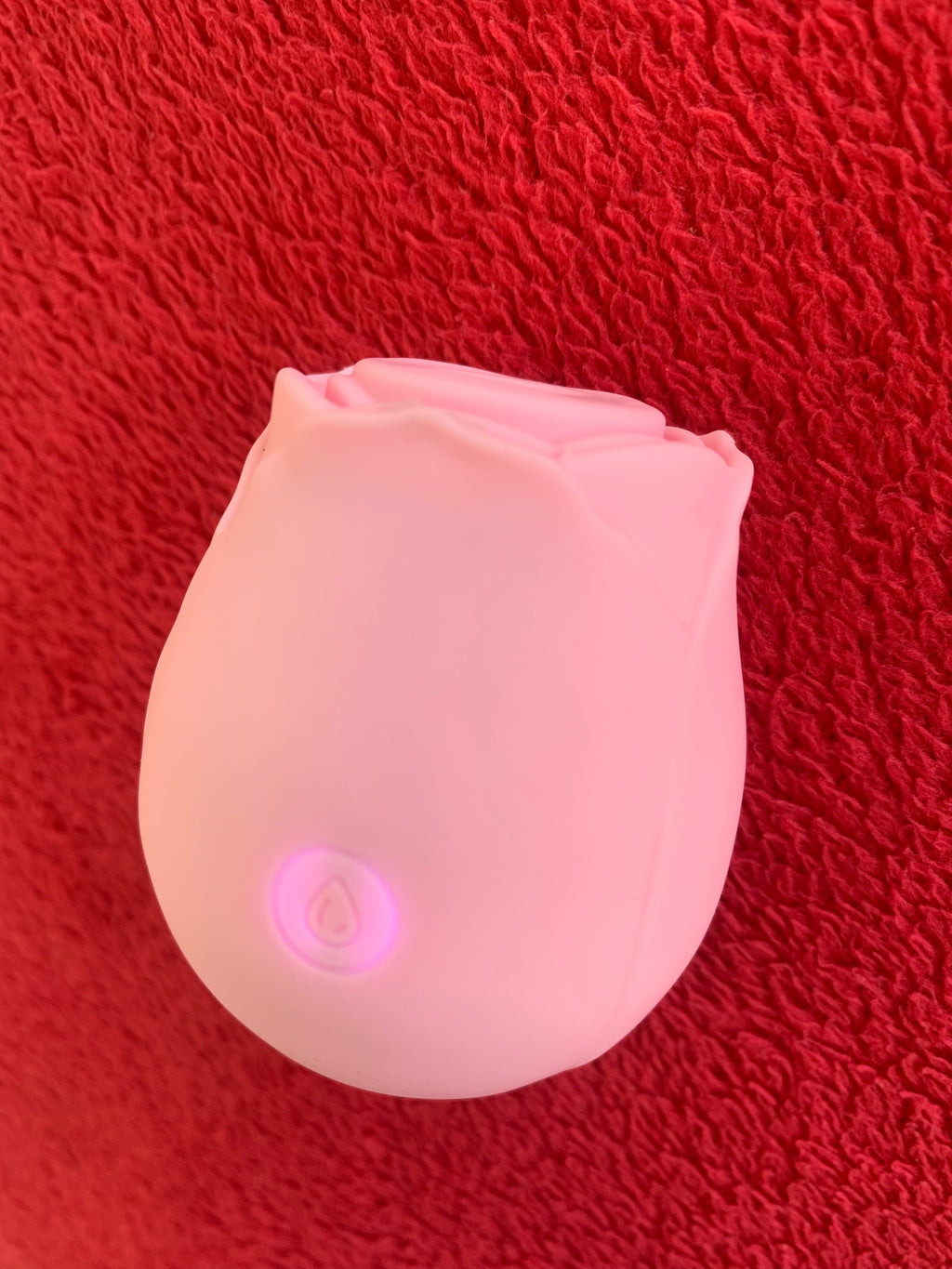 Sugador Magic Rose