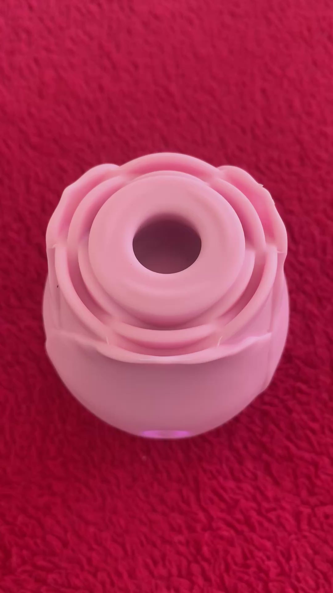 Sugador Magic Rose